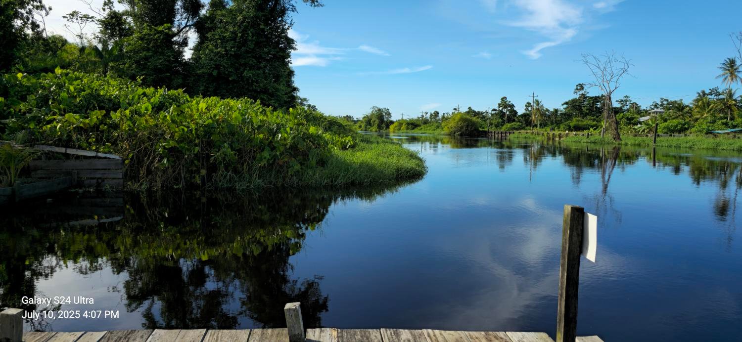 Canje River, Guyana — Bitcoin Timber sovereign land
