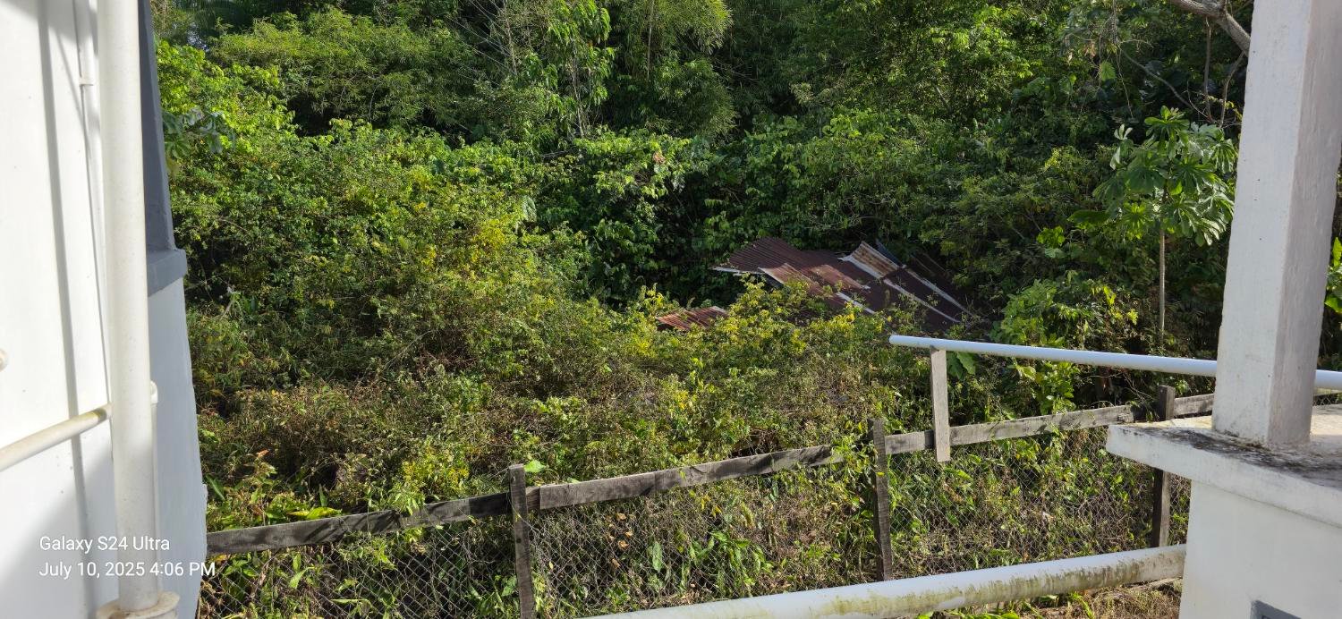 Wide river panorama — Bitcoin Timber