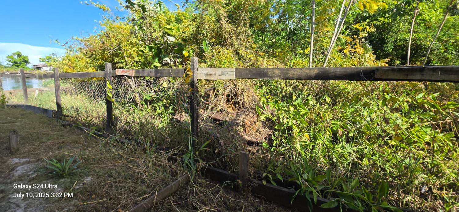 Red roof overlooking the river — Bitcoin Timber