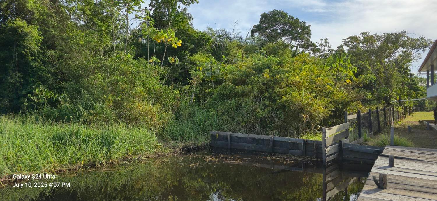 Main wooden dock — Bitcoin Timber